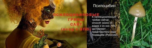 альфа пвп Медногорск