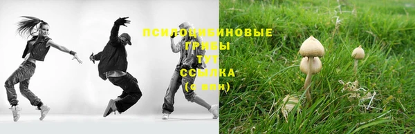 альфа пвп Медногорск