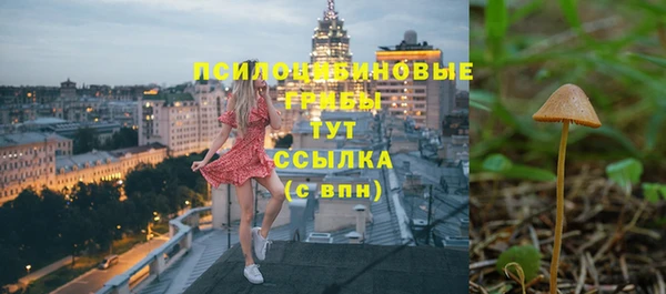 альфа пвп Медногорск